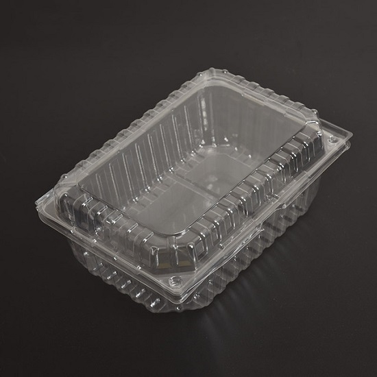 Food Container